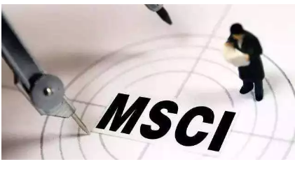 MSCI3.png